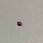 0.12 ct Oval Pinkish Red Ruby 3.5×2.8 mm Unheated Madagascar - Image 4