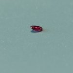 0.12 ct Oval Pinkish Red Ruby 3.5×2.8 mm Unheated Madagascar - Image 2